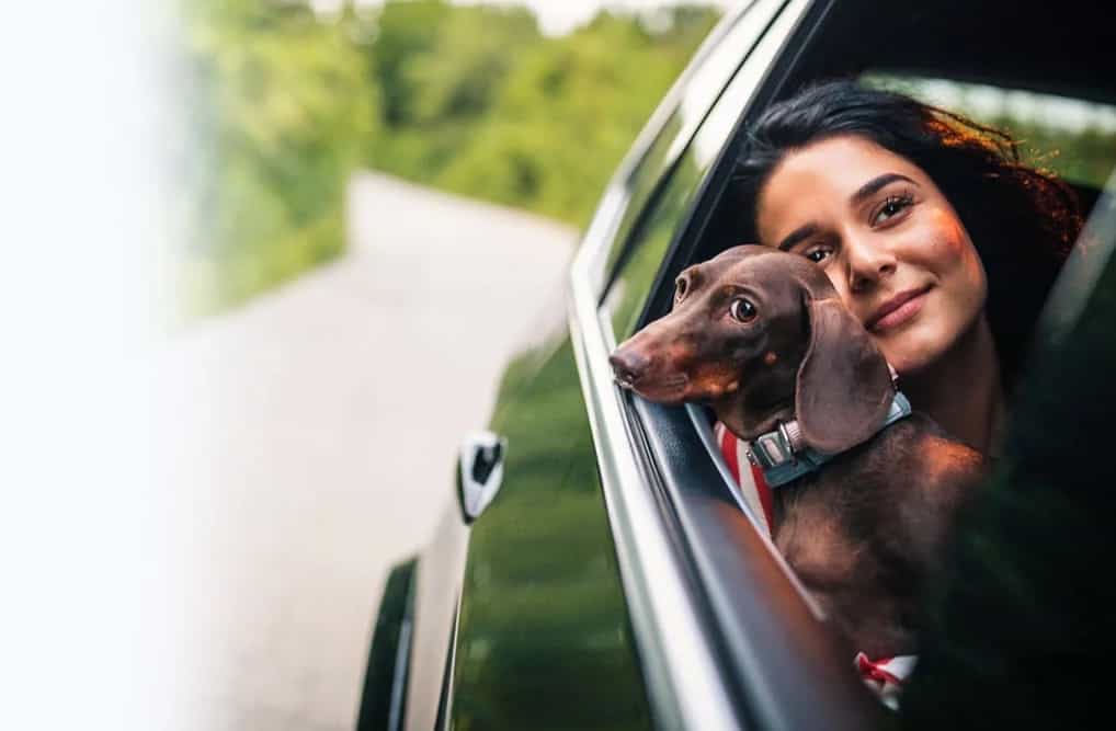 Servizio clienti 24/7 - siamo sempre con te. - İstanbul Havalimanı Transfer Hizmetleri