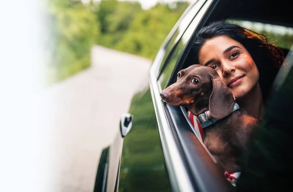 24/7 Klantenservice - we zijn altijd bij u. - İstanbul Havalimanı Transfer Hizmetleri